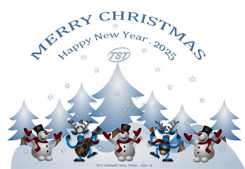 Merry Christmas and Happy New Year 2025 -TSTC